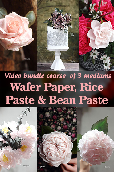 Video Bundle course of 3 mediums: wafer paper, rice paste & bean paste