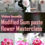 Modified Gum Paste & Flower Masterclass (A Bundle of Modified Gum Paste Modules 3&4)