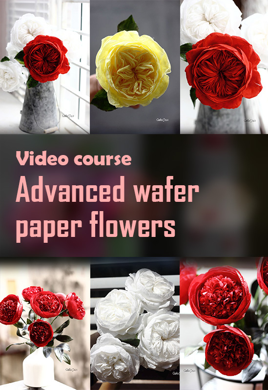 Wafer paper flowers with silky smooth colors