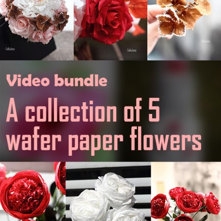 Video bundle – A collection of 5 wafer paper flowers