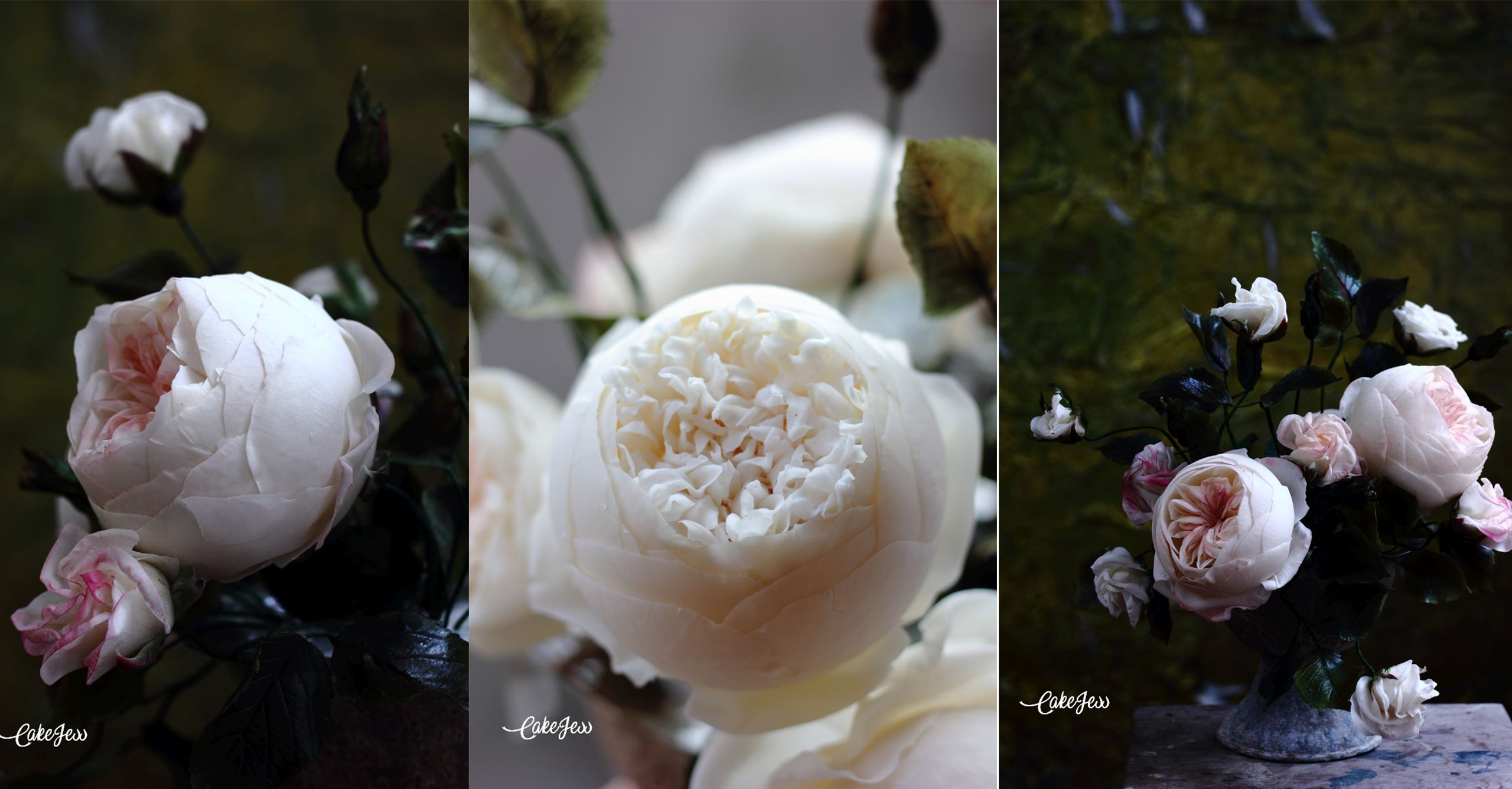 Peony Peony Rose Collection