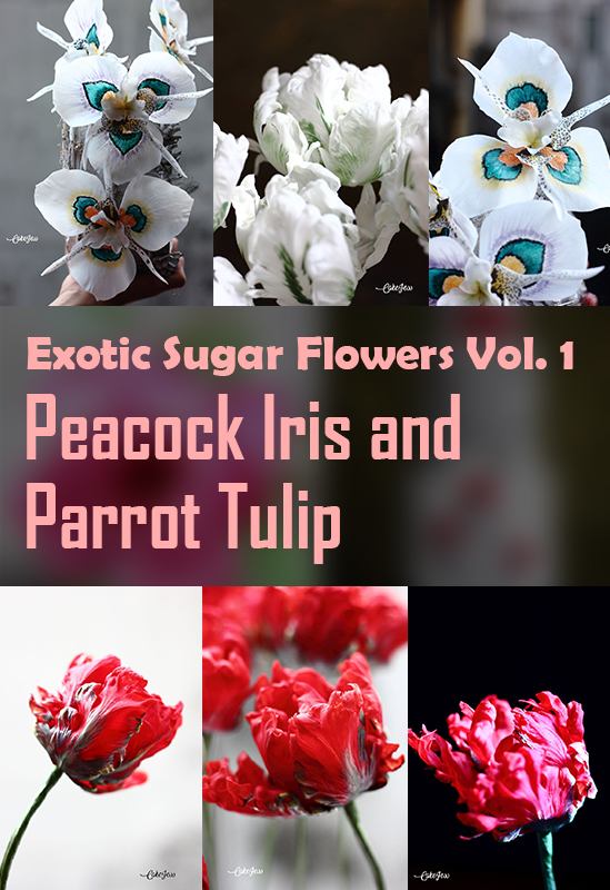 Exotic Sugar Flowers Volume 1: Peacock Iris & Parrot Tulip